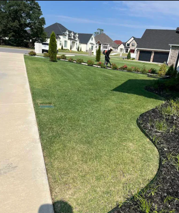 Professional curved edging and landscape design showing precise lawn borders and well-maintained grass