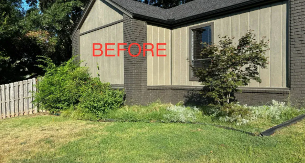 Before photo showing overgrown landscaping and unmaintained yard needing professional care